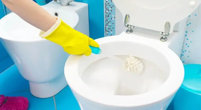 Conozca la razón del uso del sal en los inodoros como limpieza. Conozca la razón del uso del sal en los inodoros como limpieza.