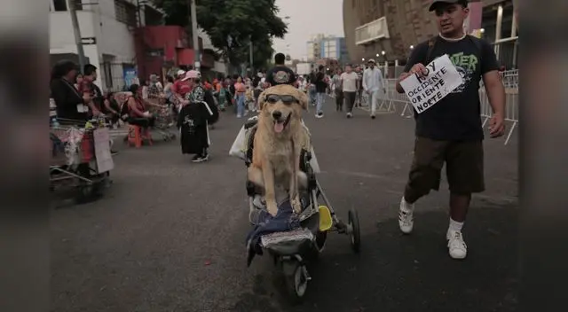 A las afueras del Estadio Nacional, peruanos se ganan la vida vendiendo souvenirs relacionados a Romeo Santos y acompañados hasta de sus mascotas.