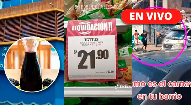 TikTok: repasa los mejores y divertidos videos virales de este día.