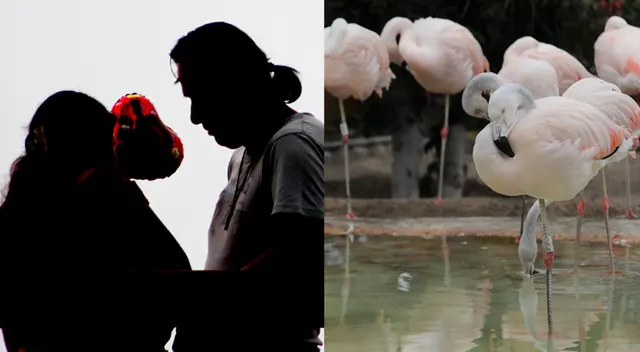 Parejas podrán disfrutar de actividades especiales por San Valentín.