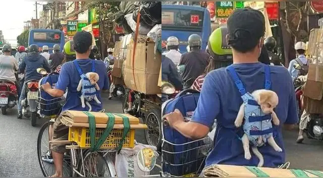El joven fue captado llevando a su cachorro en un canguro de bebé y es viral en Facebook.