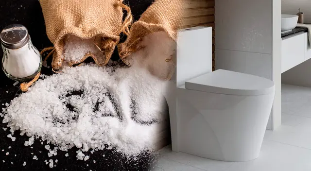 Conoce los trucos caseros para limpiar el inodoro.