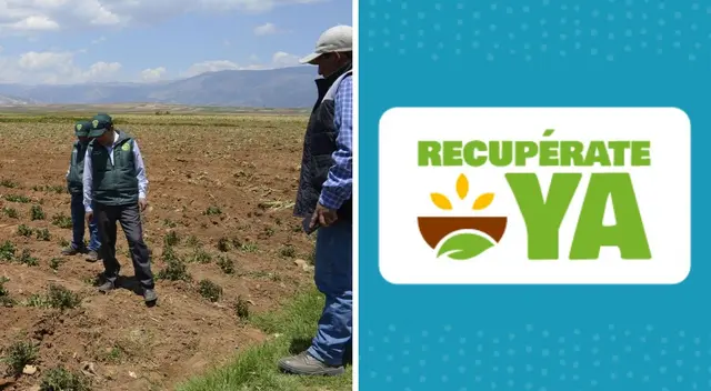 Este bono sequía por parte del Midagri quiere ayudar a los ganaderos y agricultores de 17 regiones.