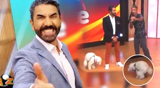 Arriba mi Gente: perrito se lleva el show con tremenda acción en vivo.