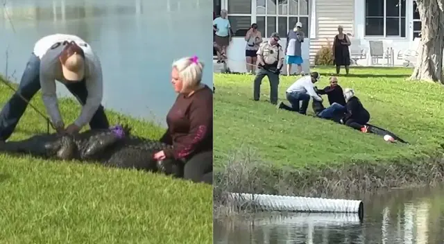 Su vecina intentó salvarla pero el caimán ya le había matado a la señora. Su vecina intentó salvarla pero el caimán ya le había matado a la señora.