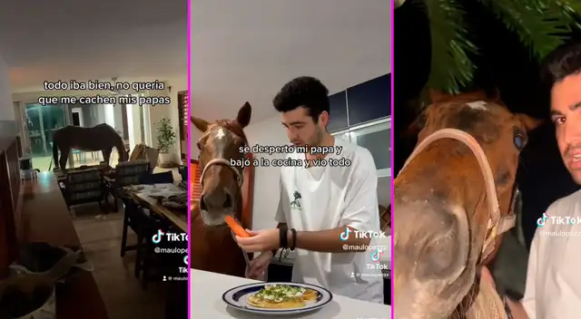 El joven no se dió cuenta en qué momento se robó el caballo.