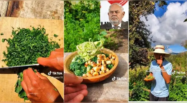 El joven apurimeño grabó cómo se puede preparar un plato a base de alfalfa y es viral en TikTok. El joven apurimeño grabó cómo se puede preparar un plato a base de alfalfa y es viral en TikTok.