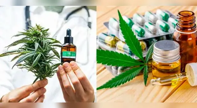 Solo farmacias autorizadas podrán comercializar productos con cannabis y sus derivados.
