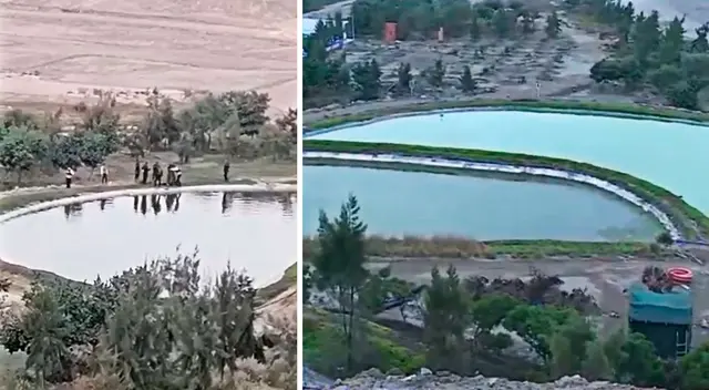 Tragedia en Lurín. Uno de los menores (13) logró sobrevivir. Los hermanitos de 6 y 10 años no tuvieron la misma suerte. Tragedia en Lurín. Uno de los menores (13) logró sobrevivir. Los hermanitos de 6 y 10 años no tuvieron la misma suerte.