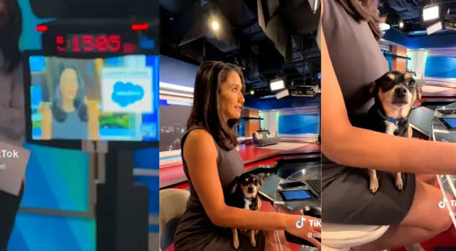 El perro se comportó a la altura de las circuntancias