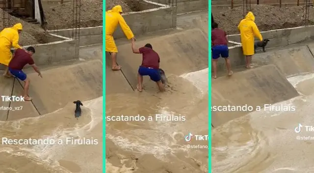 Jóvenes demostraron su amor por los animales salvando a perrito.