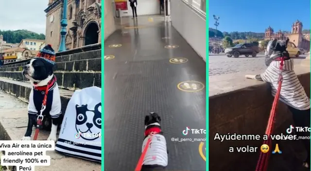 'Viva Air' dejó de operar en nuestro país dejando varado a muchos pasajeros. 'Viva Air' dejó de operar en nuestro país dejando varado a muchos pasajeros.