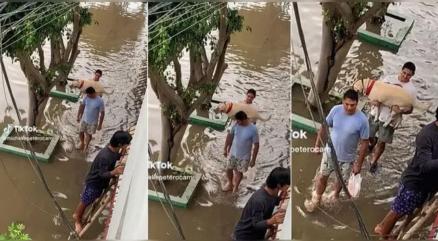 El joven peruano llevaba entre sus brazos a su perrita para que no se ensucie y escena es viral en TikTok.