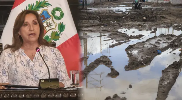 Dina Boluarte activa bono extraordinario para agricultores afectados por lluvias.
