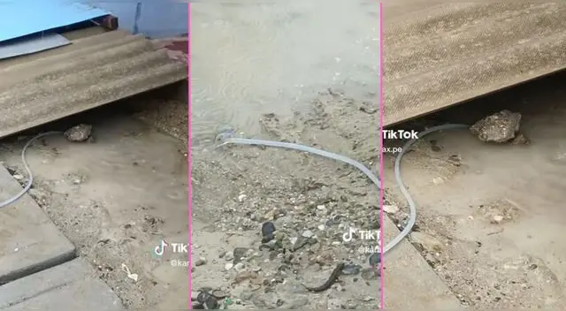 El muchacho captó la singular idea que tuvo su vecino para que el agua no entre a su casa y es viral en TikTok.