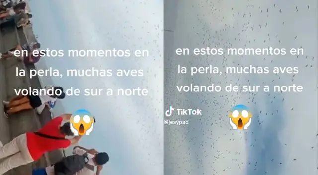 Aves realizan movimientos circulares en el cielo de La Punta. Aves realizan movimientos circulares en el cielo de La Punta.
