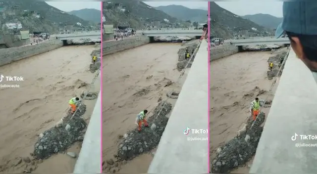 Los perritos estaban felices al ver que un hombre se atrevió a bajar para salvarlos y escena es viral en TikTok.