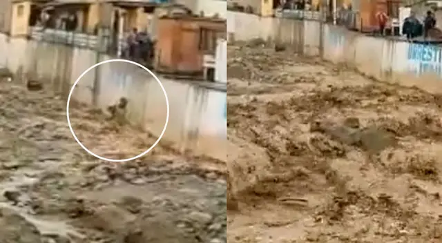 Persona no ha sido aún identificada. Persona no ha sido aún identificada.