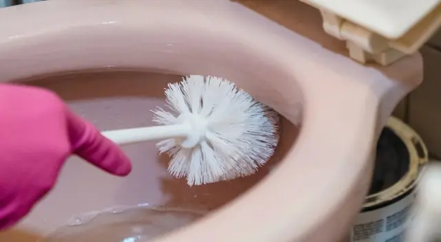 Se recomienda limpiar el baño al menos una vez a la semana.