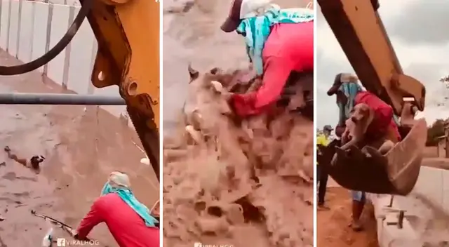 Rescate de perro fue viral en las redes sociales. Rescate de perro fue viral en las redes sociales.