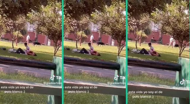 La pareja de jóvenes demostró su amor con candentes escenas.