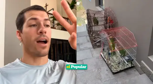 Patricio Parodi explicó que no tenía loros de mascota desde que era un niño. Patricio Parodi explicó que no tenía loros de mascota desde que era un niño.