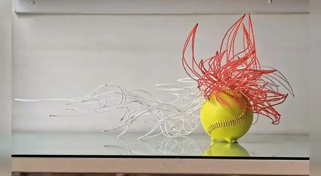 2da. EXPO Arte & Softbol.