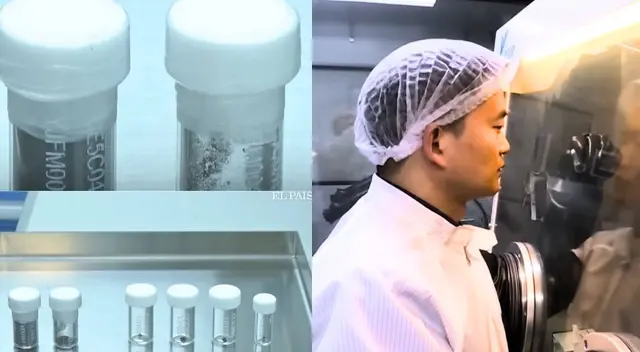 Ester reservorio tendría 270.000 millones de toneladas. Ester reservorio tendría 270.000 millones de toneladas.