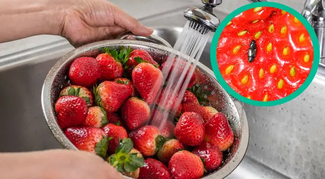 ¿Cómo lavar correctamente las fresas?