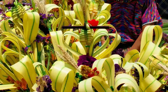 Conoce cómo realizar una palma de manera rápida y sencilla. Conoce cómo realizar una palma de manera rápida y sencilla.