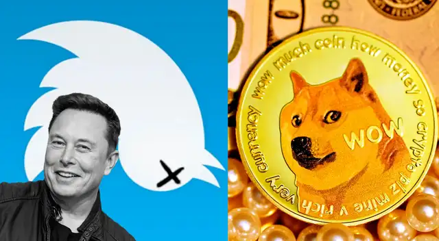 Dogecoin sube después de que Elon Musk reemplazó el icónico pájaro de Twitter .