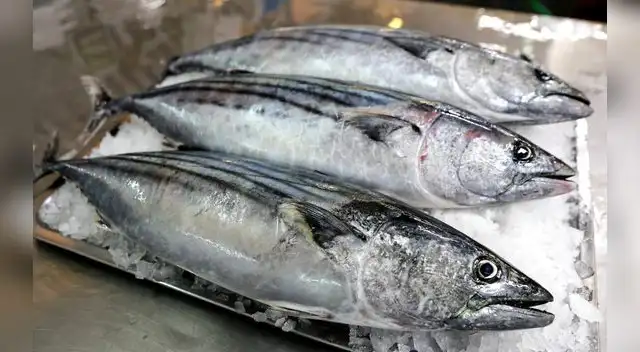Conoce cómo reconocer un pescado fresco en Semana Santa 2023.