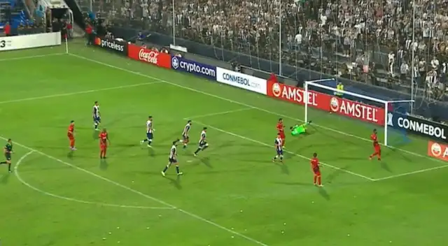 Palo Fernandinho