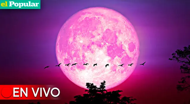 Luna rosa 2023 se verá en Perú, entérate más detalles del evento. Luna rosa 2023 se verá en Perú, entérate más detalles del evento.