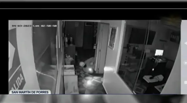 Cámaras de seguridad de local grabaron a delincuentes robando la distribuidora.