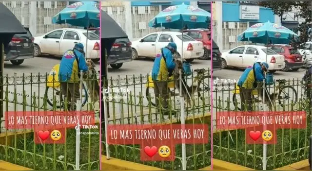 Una escena entre un abuelito vendedor de helados y un perrito de la calle es viral en TikTok. Una escena entre un abuelito vendedor de helados y un perrito de la calle es viral en TikTok.