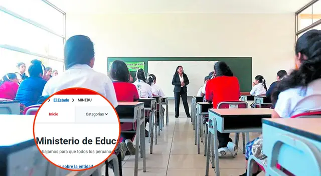 Conoce cómo ver las notas escolares online.