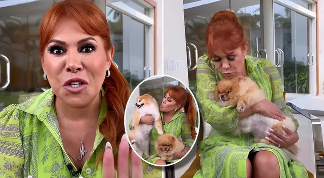 Magaly Medina será abuela por primera vez. Magaly Medina será abuela por primera vez.