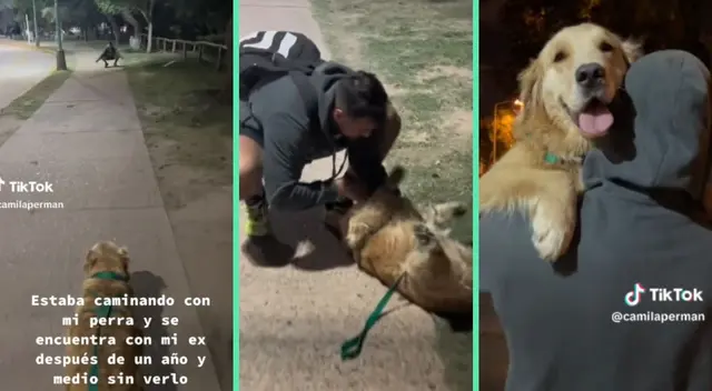 La conmovedora escena fue viral en TikTok.