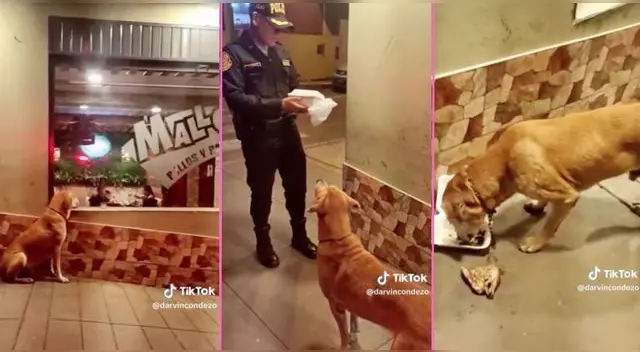 Un policía tuvo un lindo gesto con un perrito que miraba una pollería y en TikTok le agradecen.