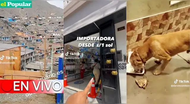 Mira AQUÍ los mejores videos virales de TikTok del 19 de abril del 2023.