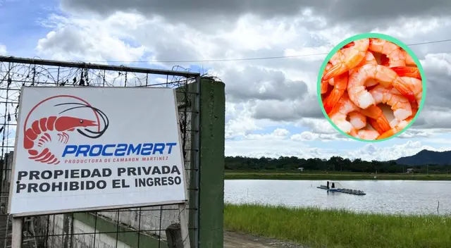 Ecuador se ha convertido en el mayor país de exportadores de camarones.