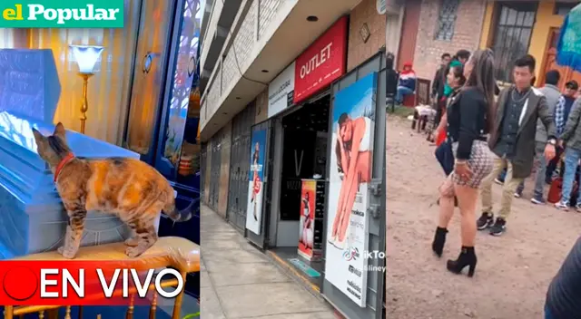 Diviértete con los videos virales de TikTok más divertidos del día.