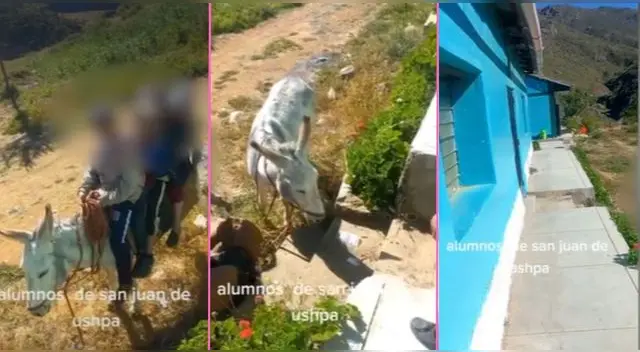 Profesor capta a niños de Huánuco llegando en burro a su colegio y escena es viral en TikTok. Profesor capta a niños de Huánuco llegando en burro a su colegio y escena es viral en TikTok.