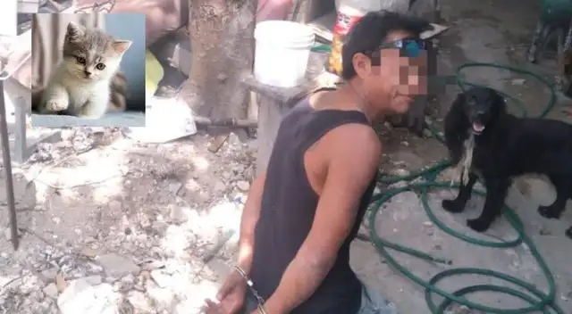Los dueños del gato tras descubrir que mataron a su mascota, interpusieron una denuncia contra el sujeto. Los dueños del gato tras descubrir que mataron a su mascota, interpusieron una denuncia contra el sujeto.
