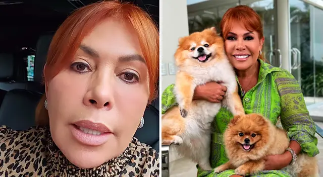 Magaly Medina emocionada por sus nuevos cachorros.