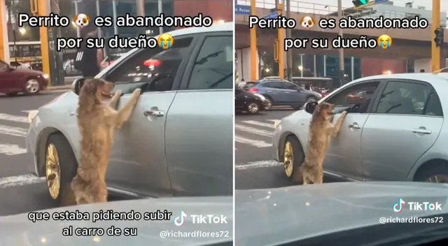 El perrito hizo todo lo posible para que su dueño lo suba al auto. El perrito hizo todo lo posible para que su dueño lo suba al auto.