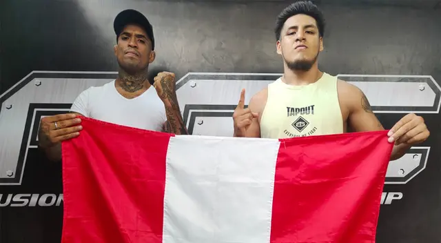 Artes marciales mixtas