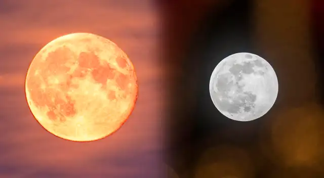 Conoce cómo se ven afectados los signos zodiacales con el eclipse lunar.