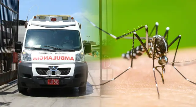 Gerente Aníbal Morillos Arqueros indicó que se cumplió con los protocolos ante el dengue.